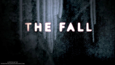 The_Fall_-_SE01EP02_-_Darkness_Visible_mkv0421.jpg