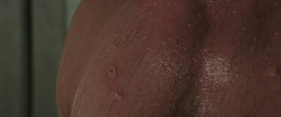 FSD_HD_CAPS_5_2816329.jpg
