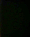 8093.jpg