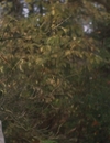 9LDX_2824229.jpg