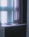 9LDX_2857929.jpg