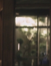 9LDX_2875529.jpg