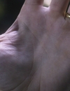 9LDX_2888529.jpg