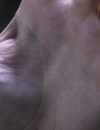 9LDX_2888629.jpg