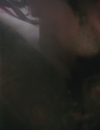 FSD_HD_CAPS_12_282329.jpg