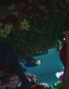 FSD_HD_CAPS_13_2825429.jpg