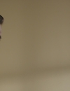 FSD_HD_CAPS_3_2825929.jpg