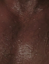 FSD_HD_CAPS_5_2816029.jpg