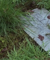 FSF_RHEGEND18202814829.jpg