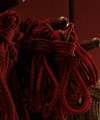 Red_Room_Part_-_Part_2_28129.jpg