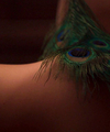 Red_Room_Part_-_Part_2_2814629.jpg