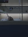 S03E02_285729.jpg