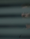 THEFALL_03x04_2832029.jpg