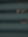 THEFALL_03x04_2832229.jpg
