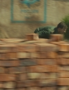 jadotville_2016_UHD_2833329.jpg