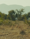 jadotville_2016_UHD_2853529.jpg