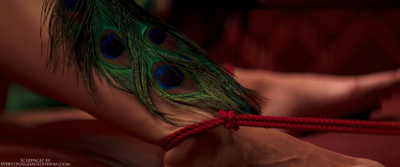 Red_Room_Part_-_Part_2_2813729.jpg