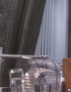 9LDX_2827329.jpg