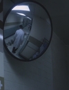9LDX_2831429.jpg