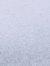 9LDX_2835429.jpg
