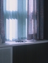 9LDX_2858029.jpg