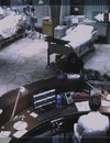 9LDX_2876229.jpg