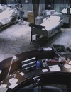 9LDX_2876829.jpg