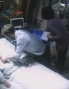 9LDX_2897829.jpg