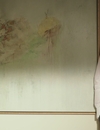 FSD_HD_CAPS_3_2835229.jpg