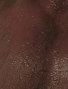 FSD_HD_CAPS_5_2816129.jpg