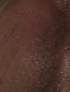 FSD_HD_CAPS_5_2816229.jpg