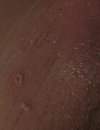 FSD_HD_CAPS_5_2816329.jpg