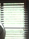 FSF_PEOPLE20281429.jpg