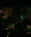 I_Put_A_Spell_On_You_-_Ana_Returns_From_Georgia_2815629.jpg