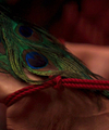 Red_Room_Part_-_Part_2_2813629.jpg