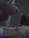 S03E02_2811629.jpg