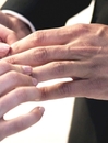 FREED_110617_2811029.jpg