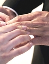FREED_110617_2811129.jpg